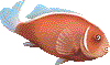 ̂