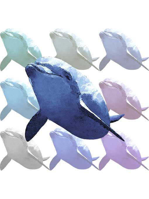 海豚）イルカのポストカードイラスト・モダンアートタイプ